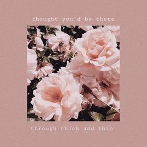 Meet your Posher, Emilia